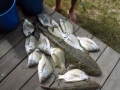 good-catch-jim-june-10