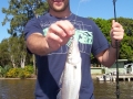 pual-with-a-35cm-whiting