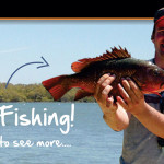 This is Fishing!