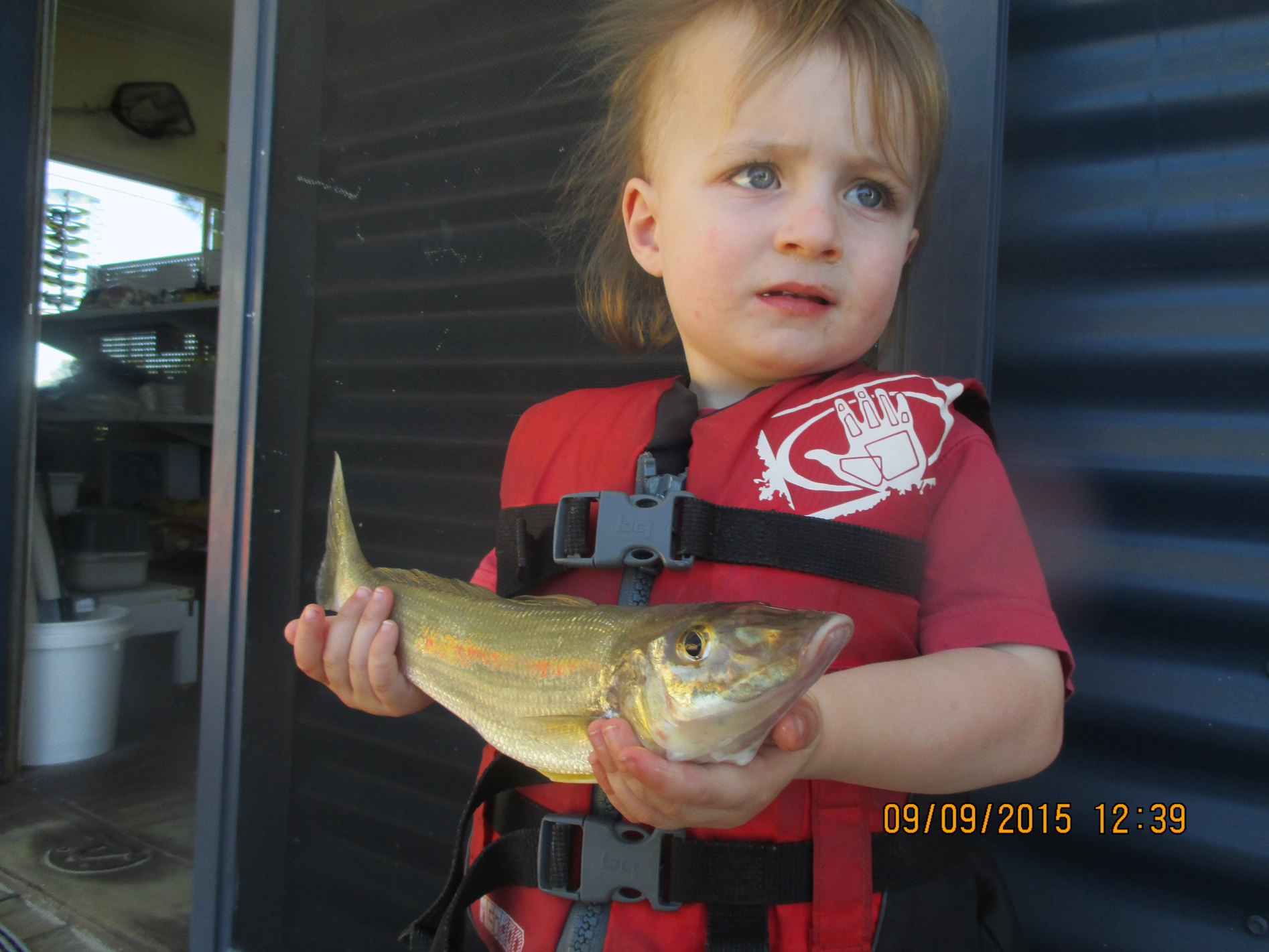 Dara caught a ripper whiting aboard an O Boat Hire Vessell